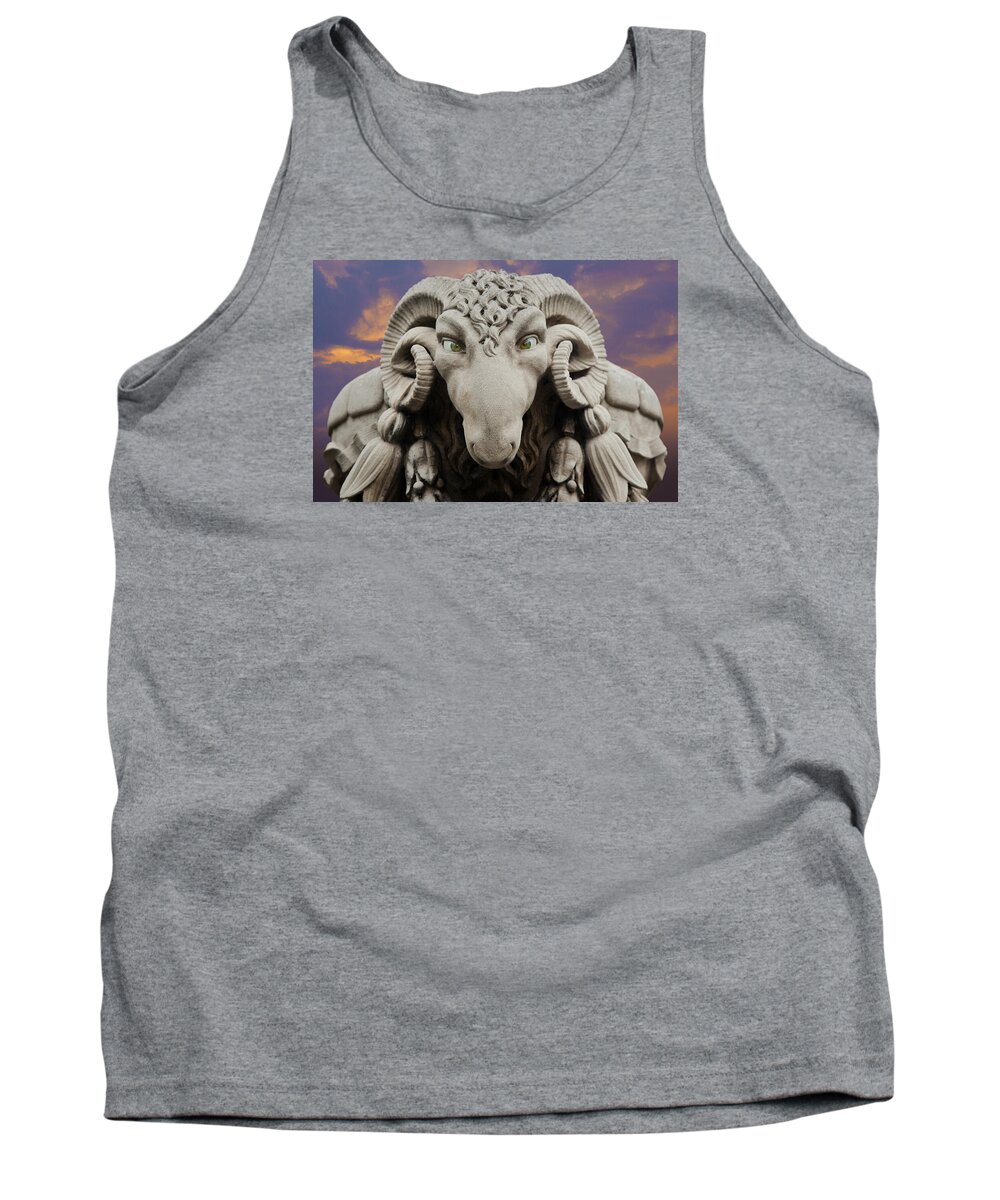 Statue Tank Top featuring the photograph Ram-A-Sees by David Davies