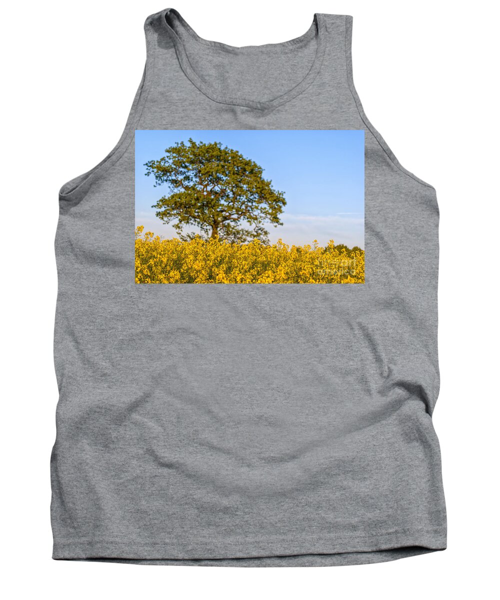 Yellow Tank Top featuring the photograph Rapeseed field with tree by Antony McAulay