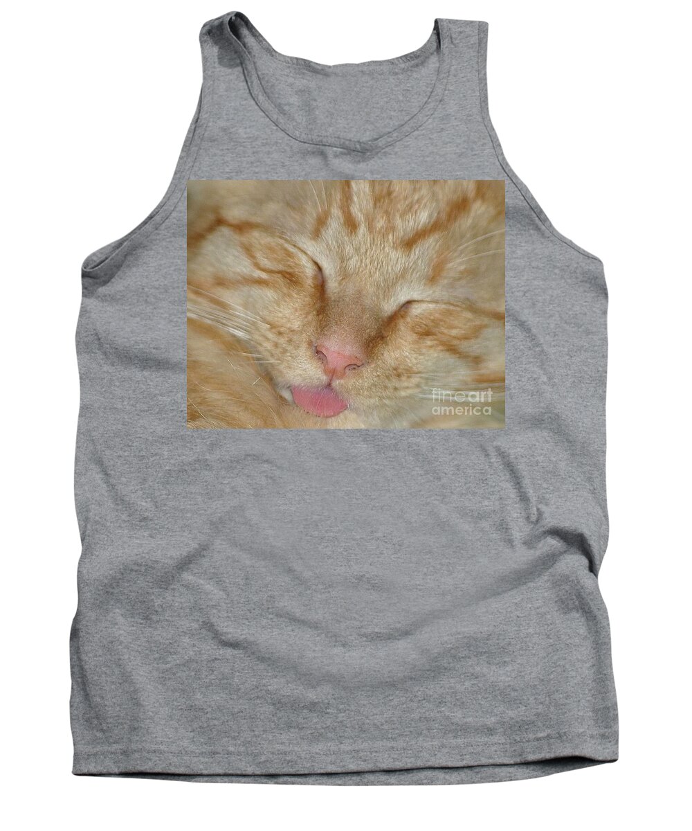 Cat Tank Top featuring the photograph Raspberry by Living Color Photography Lorraine Lynch