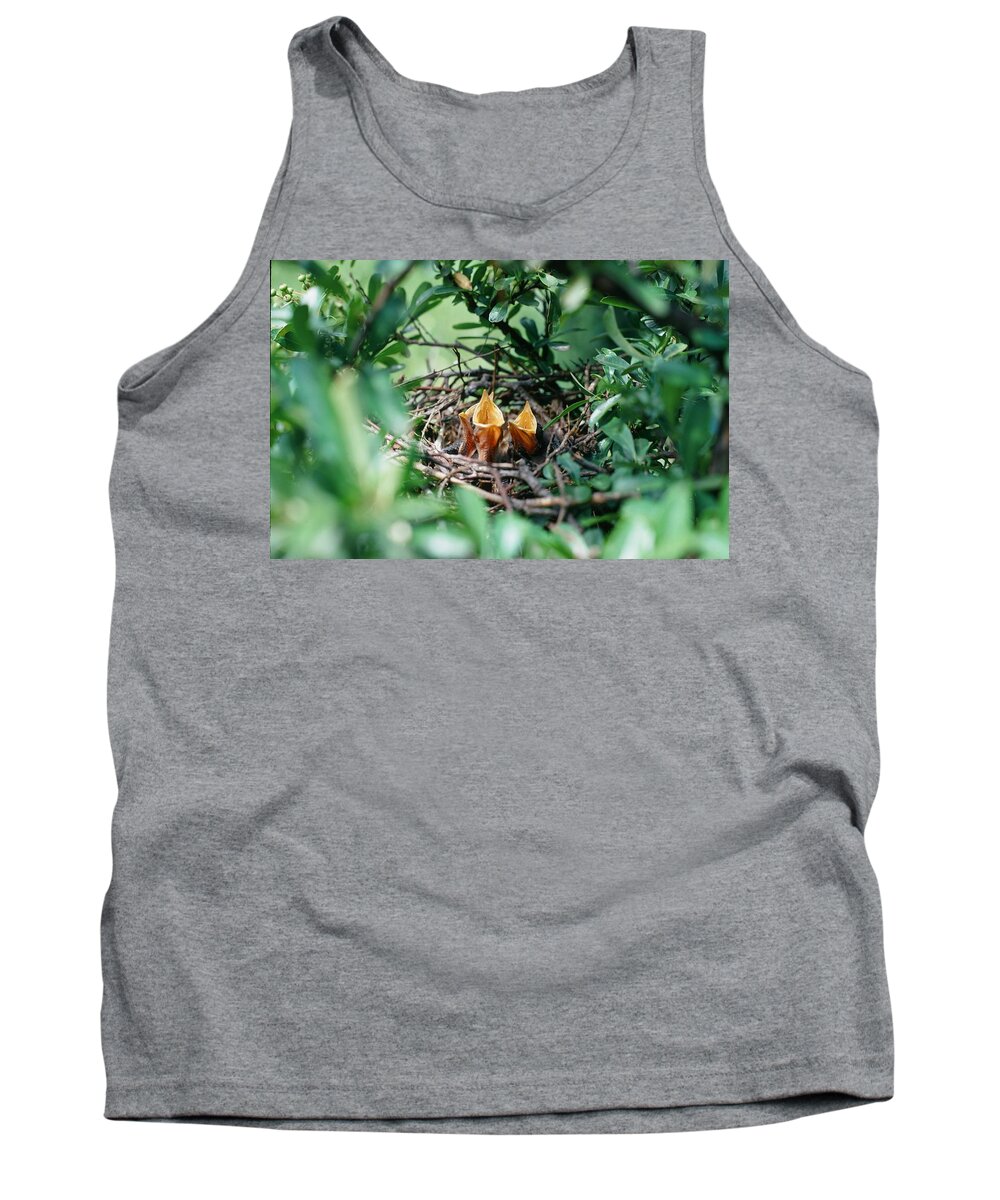 Birds Tank Top featuring the photograph Ready When You Are by Cindy Clements
