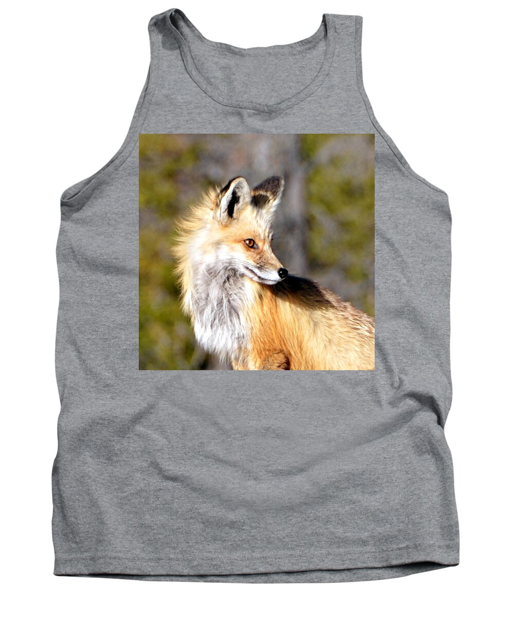 Red Tank Top featuring the photograph Red Fox Face by Tranquil Light Photography
