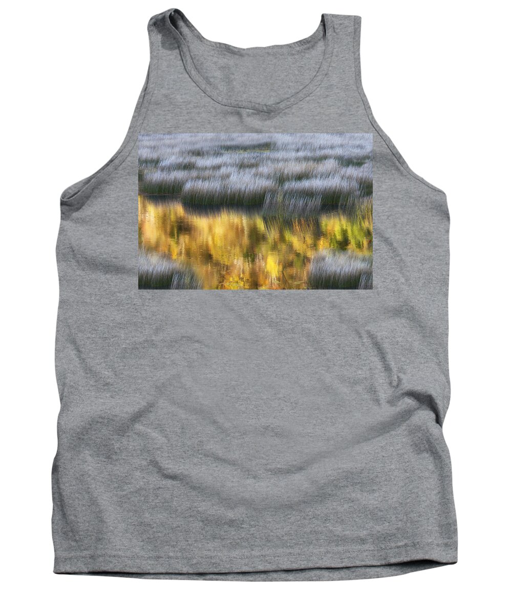 Mount Desert Island Tank Top featuring the photograph Reflections of Early Light - number four by Paul Schreiber
