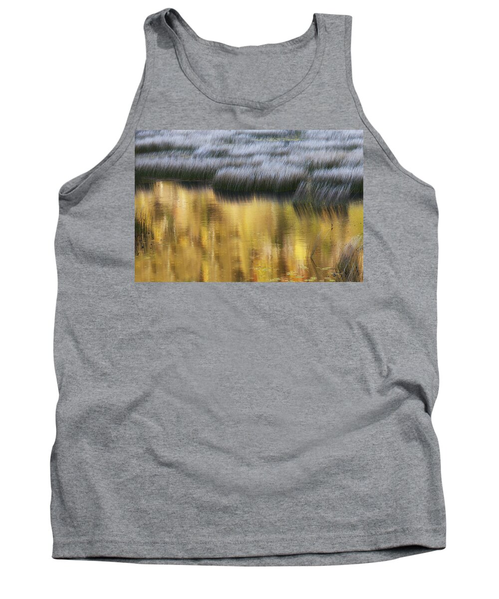 Mount Desert Island Tank Top featuring the photograph Reflections of Early Light - number three by Paul Schreiber