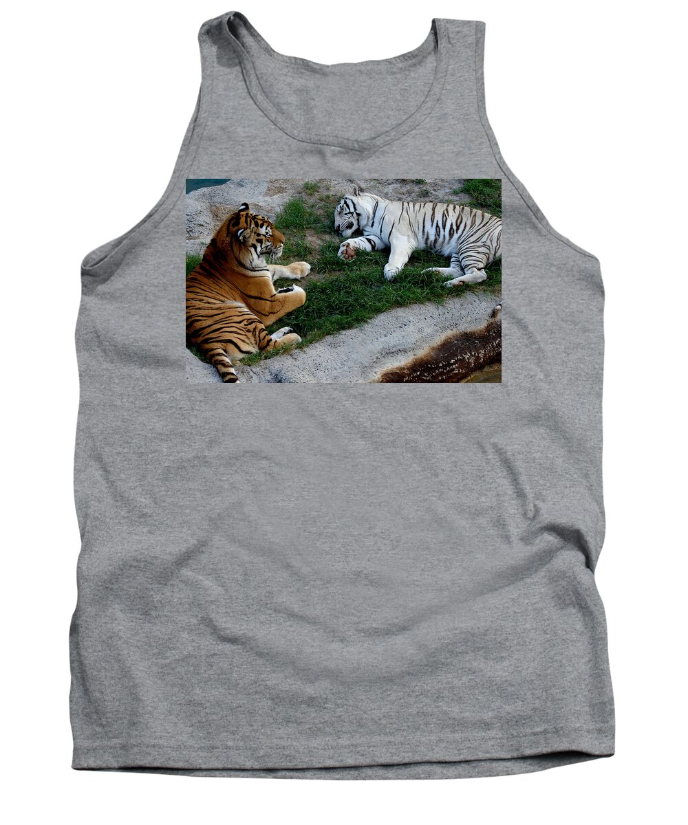 Nature Tank Top featuring the photograph Relaxing by Chauncy Holmes