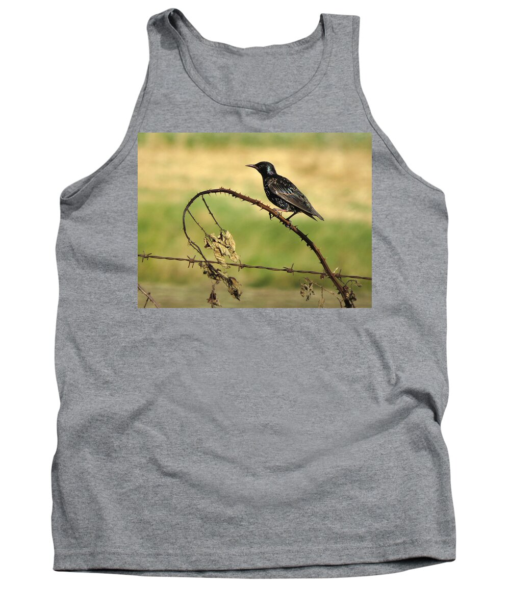 Oregon Tank Top featuring the photograph Rest Stop 6 - Oregon by Helaine Cummins