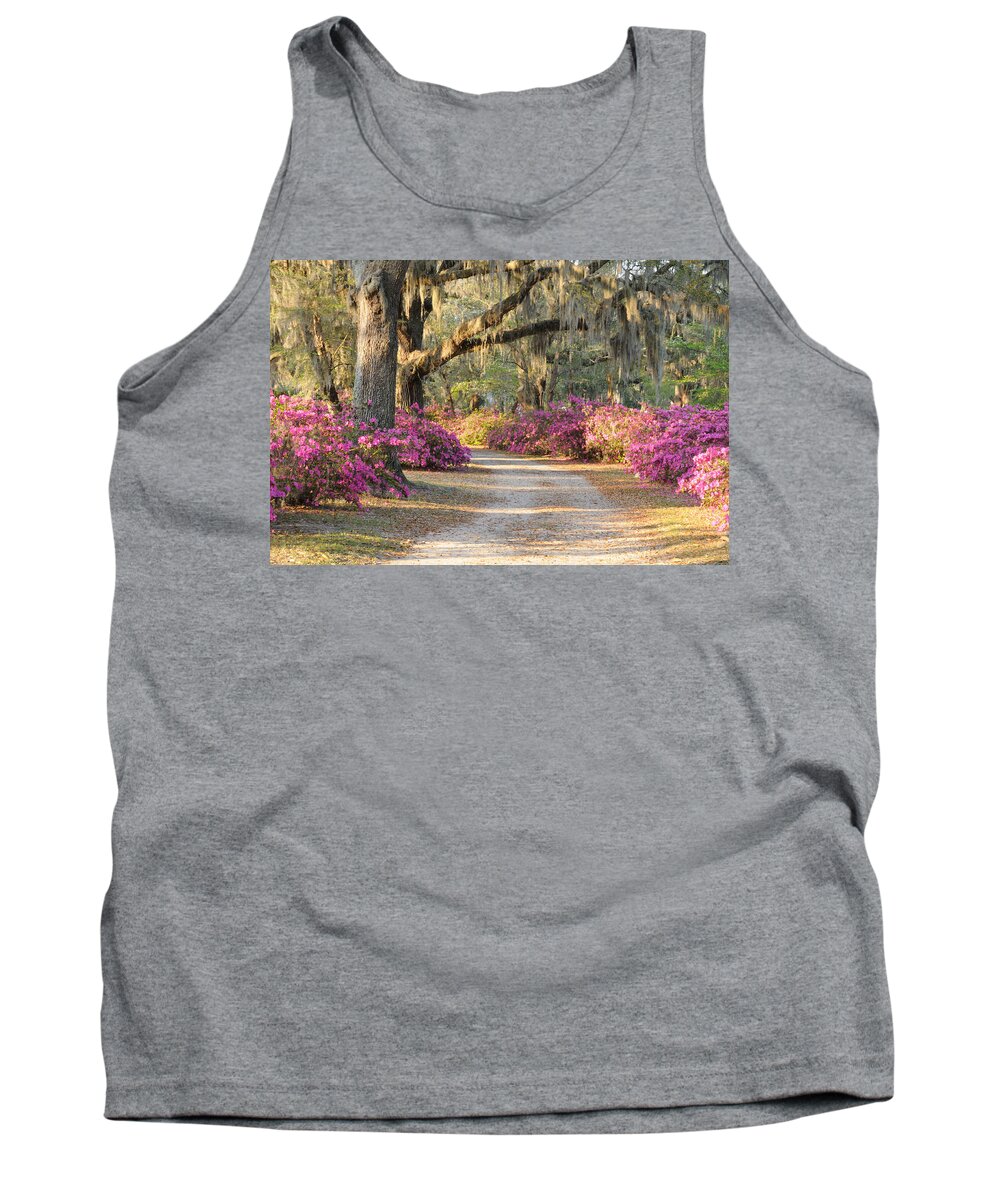 Road Tank Top featuring the photograph Road with live oaks and azaleas by Bradford Martin