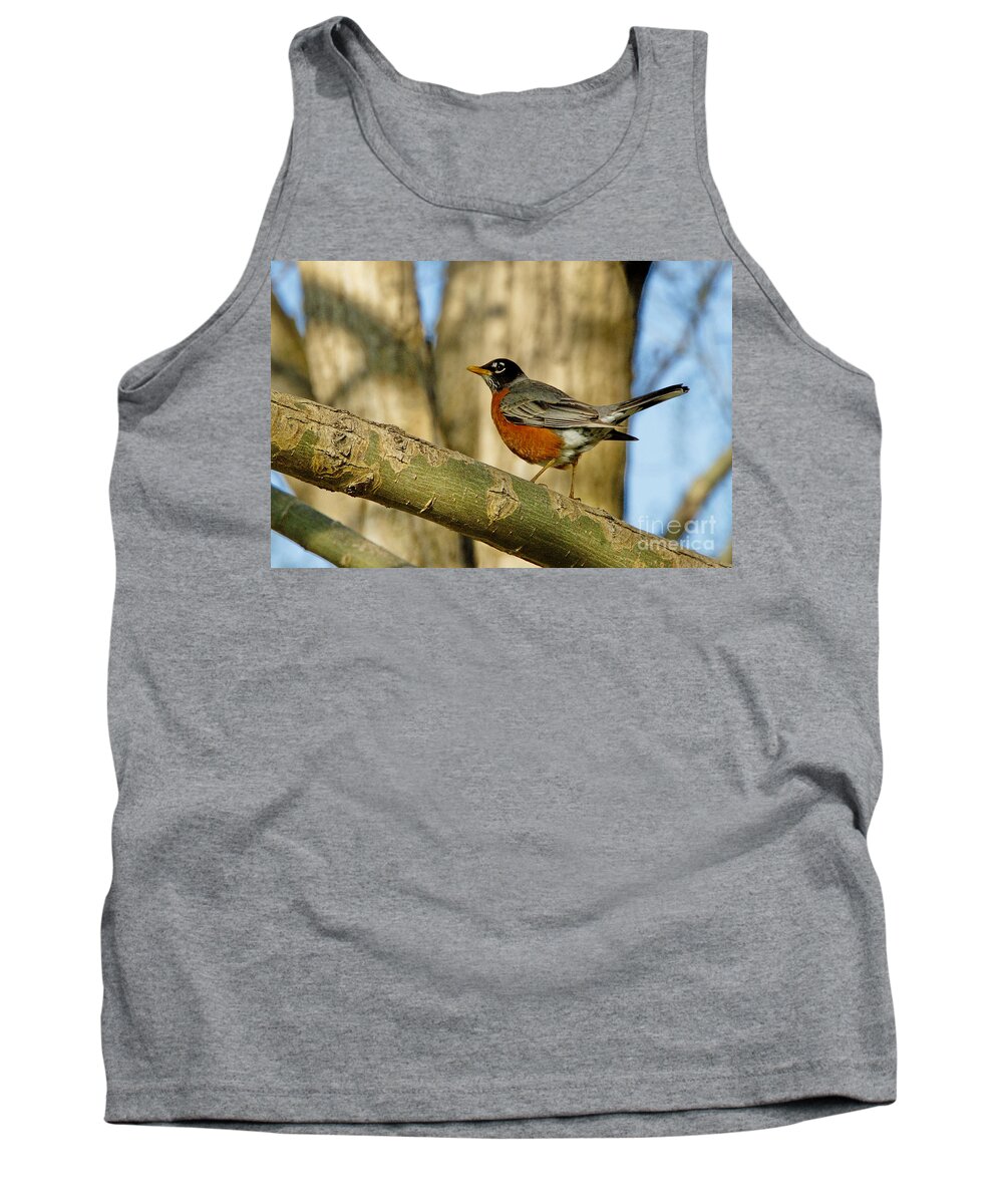Robin Tank Top featuring the photograph Robin Red-Breast by Andrea Kollo