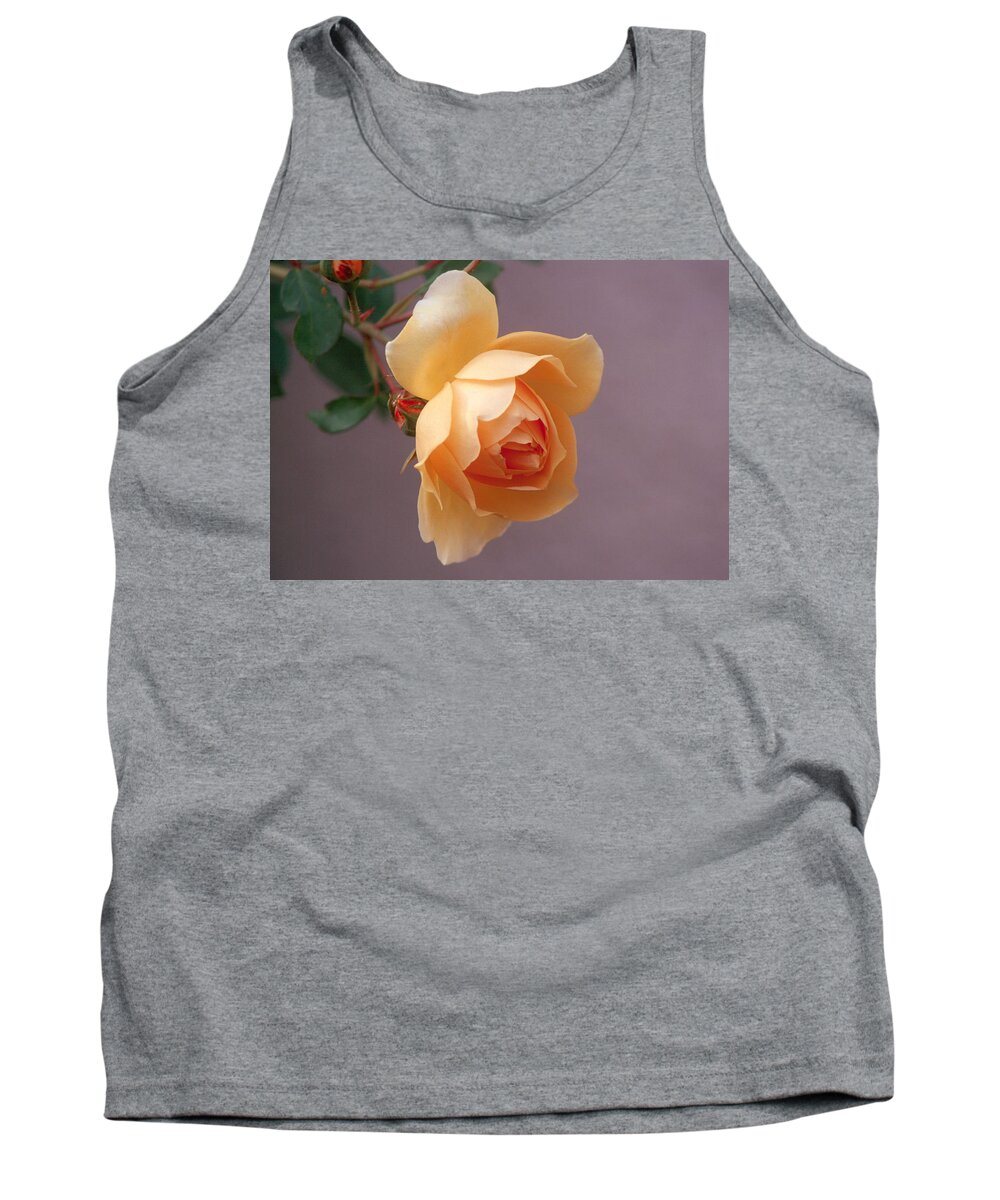 Flower Tank Top featuring the photograph Rose 4 by Andy Shomock
