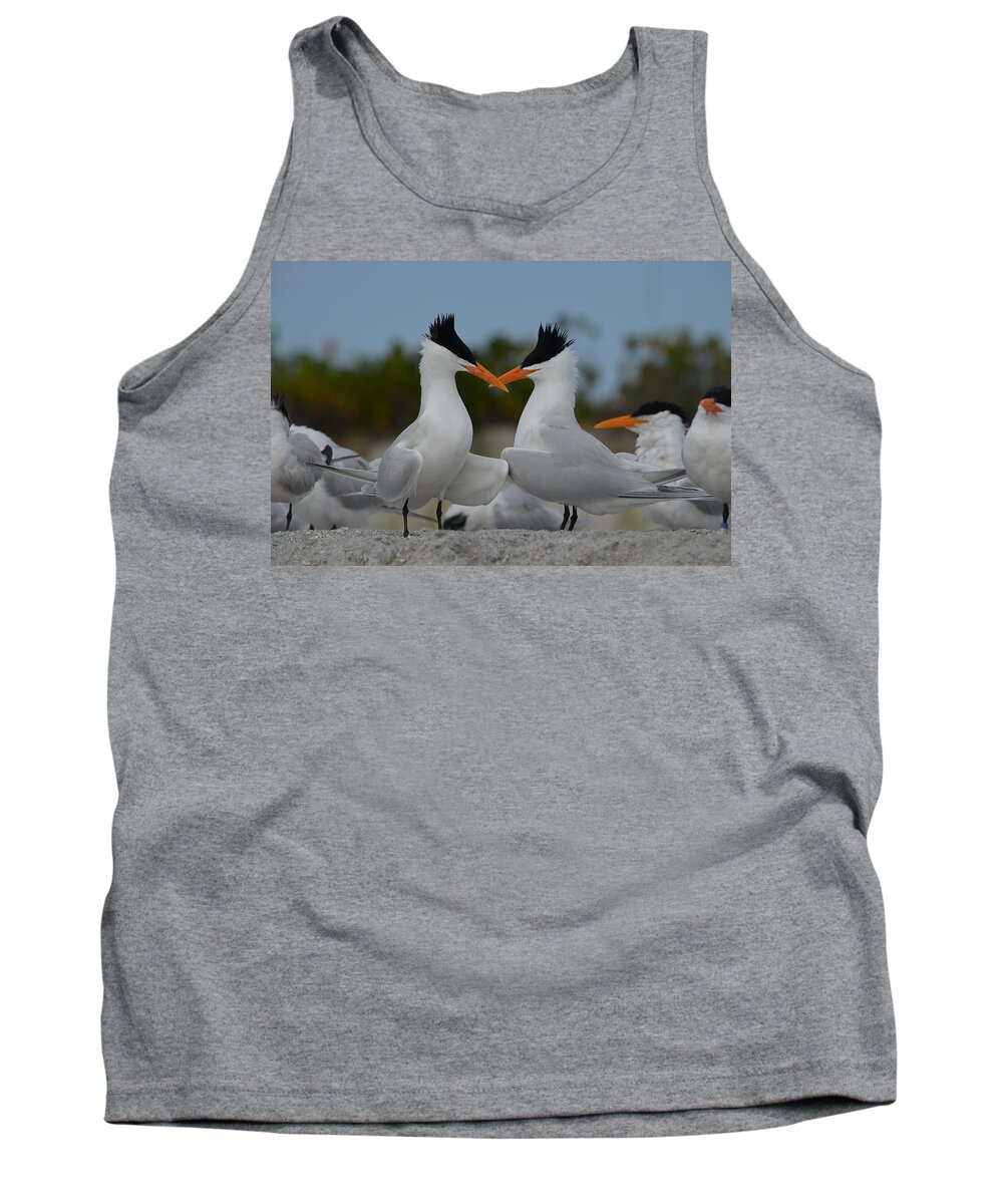 Royal Tern Tank Top featuring the photograph Bills Crossed by James Petersen