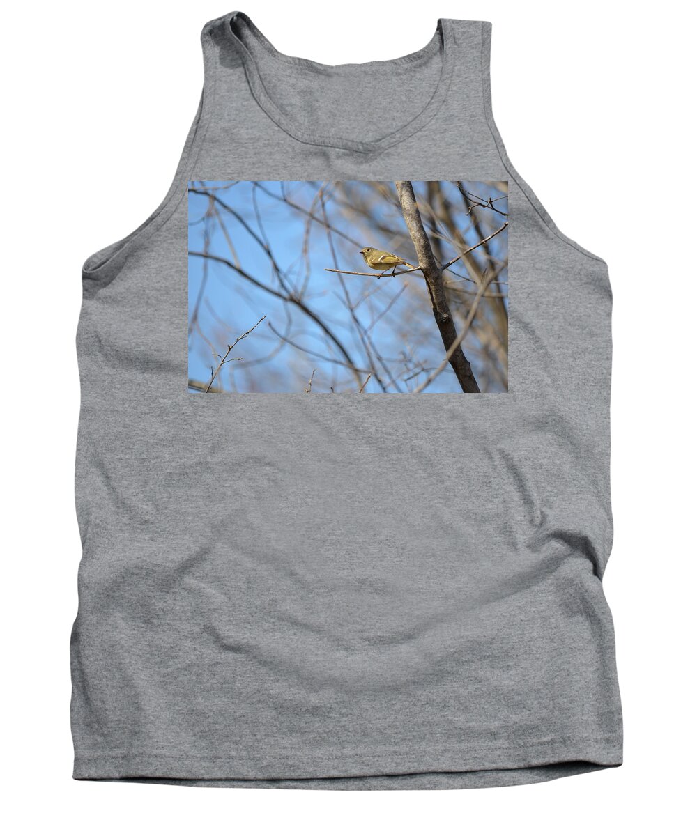 Birds Tank Top featuring the photograph Ruby-crowned Kinglet 2 by James Petersen