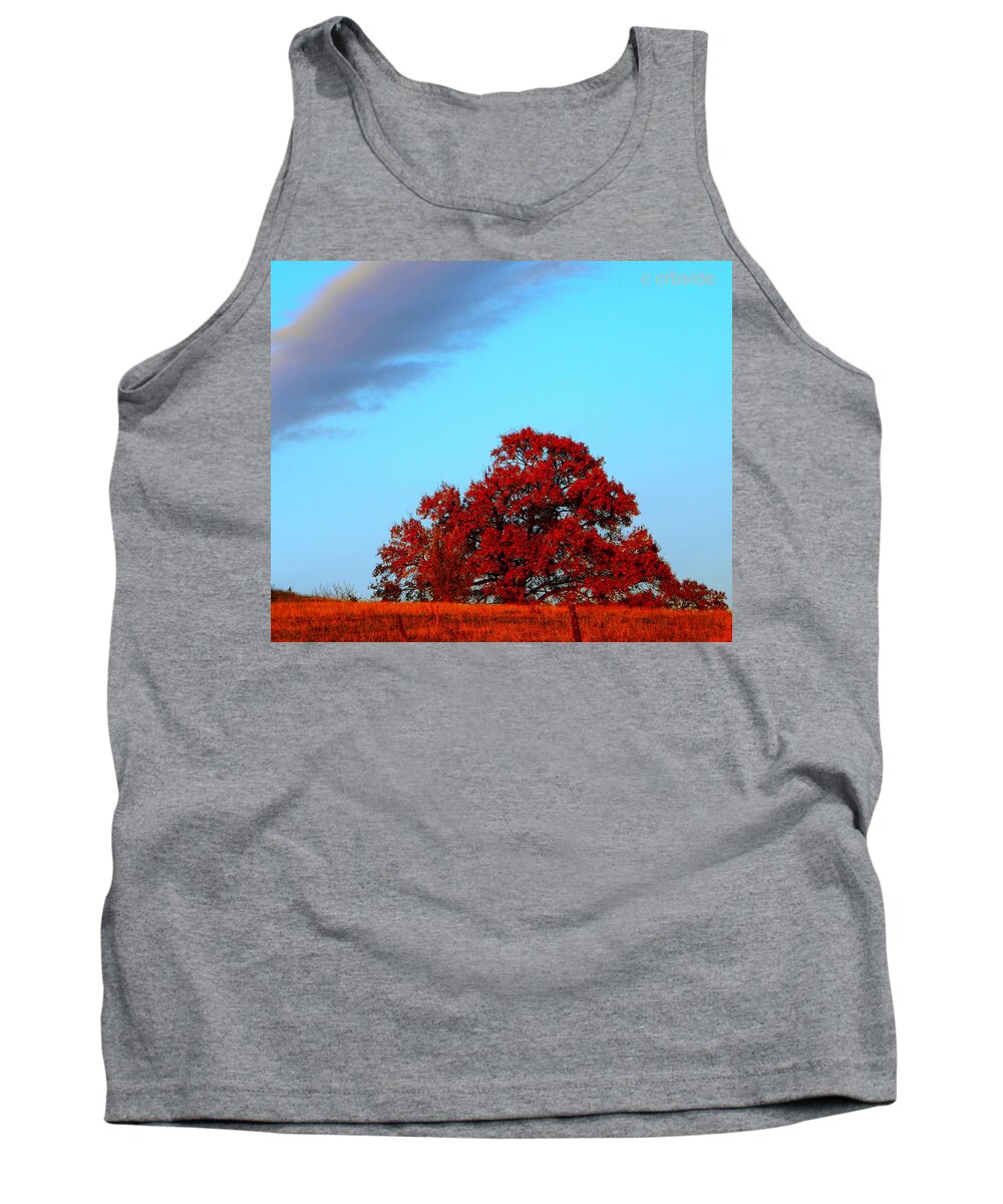 Landscape Tank Top featuring the photograph Rural Route by Chris Berry