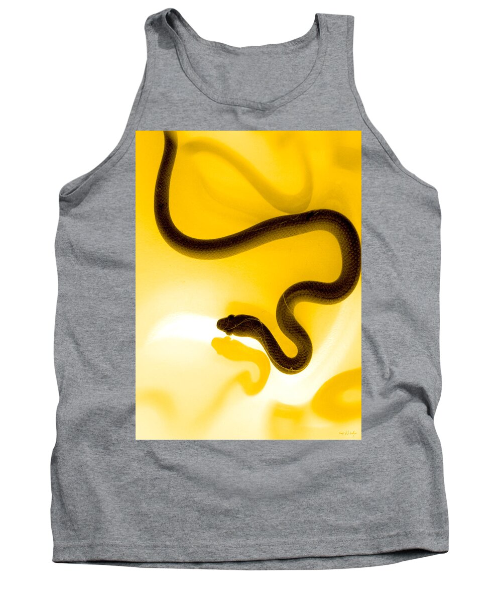 #faatoppicks Tank Top featuring the photograph S by Holly Kempe