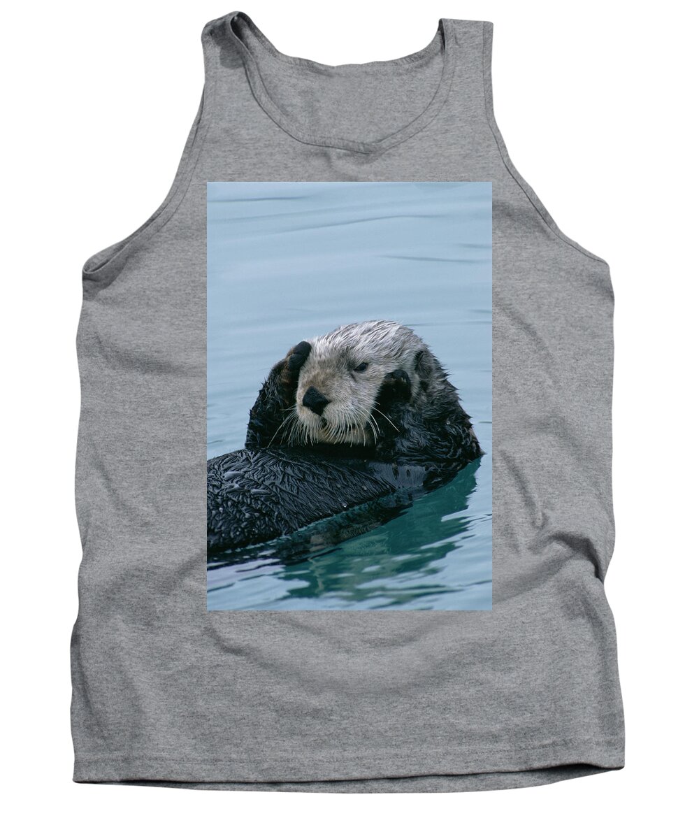 00600119 Tank Top featuring the photograph Sea Otter Grooming by Matthias Breiter