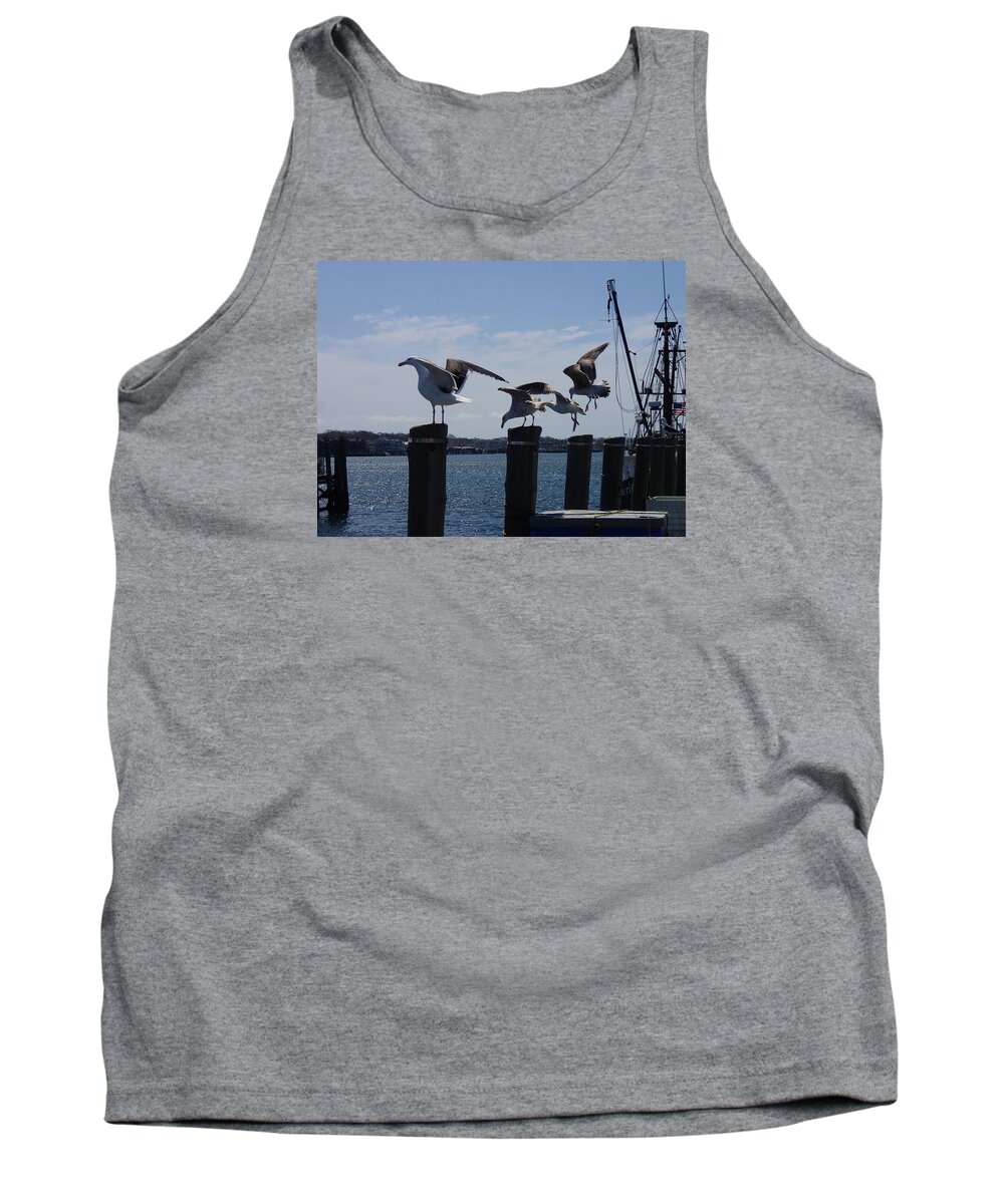 Seagull Tank Top featuring the photograph Seagull 4 by Robert Nickologianis