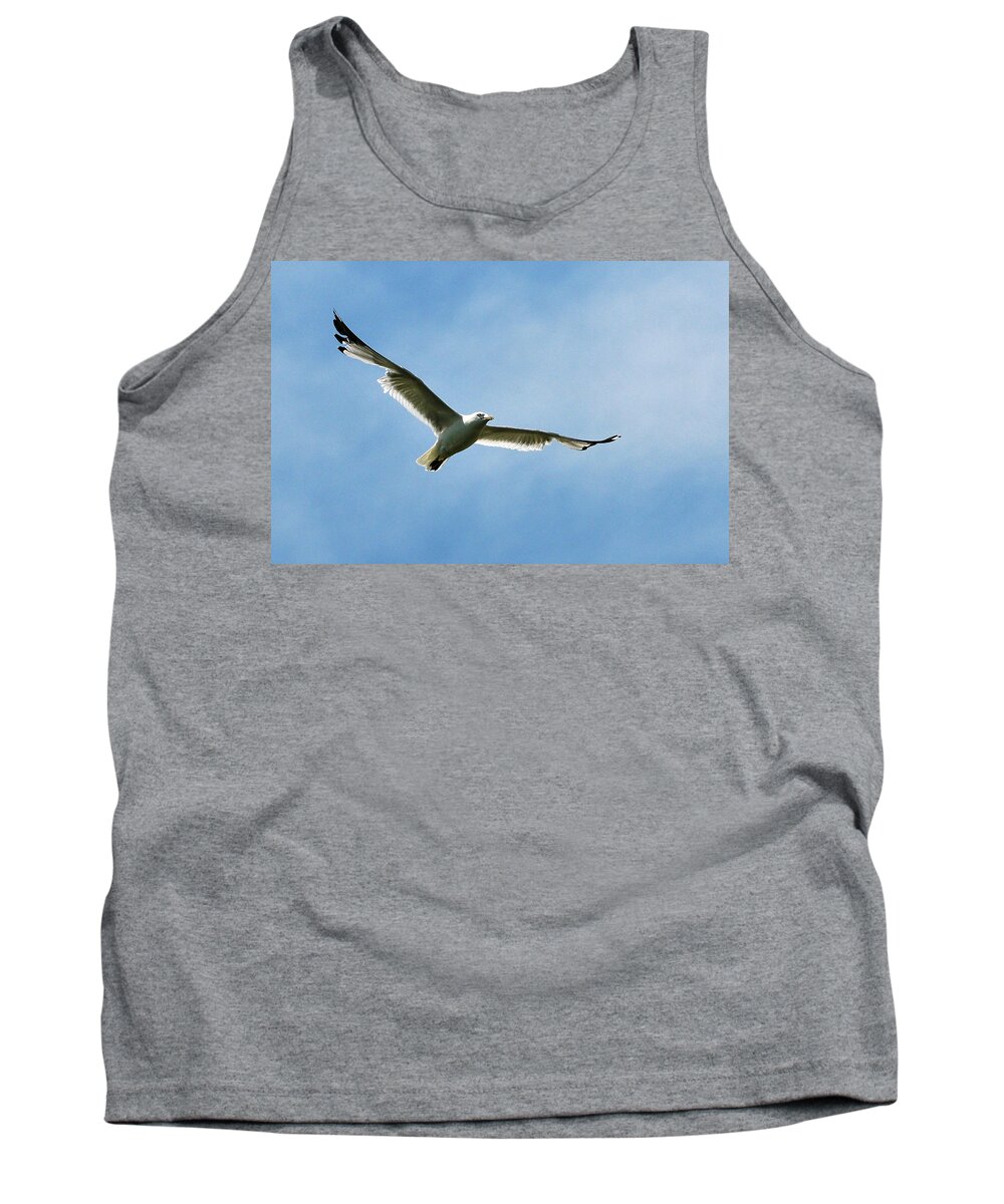 Seagull Tank Top featuring the photograph Seagull by Dragan Kudjerski