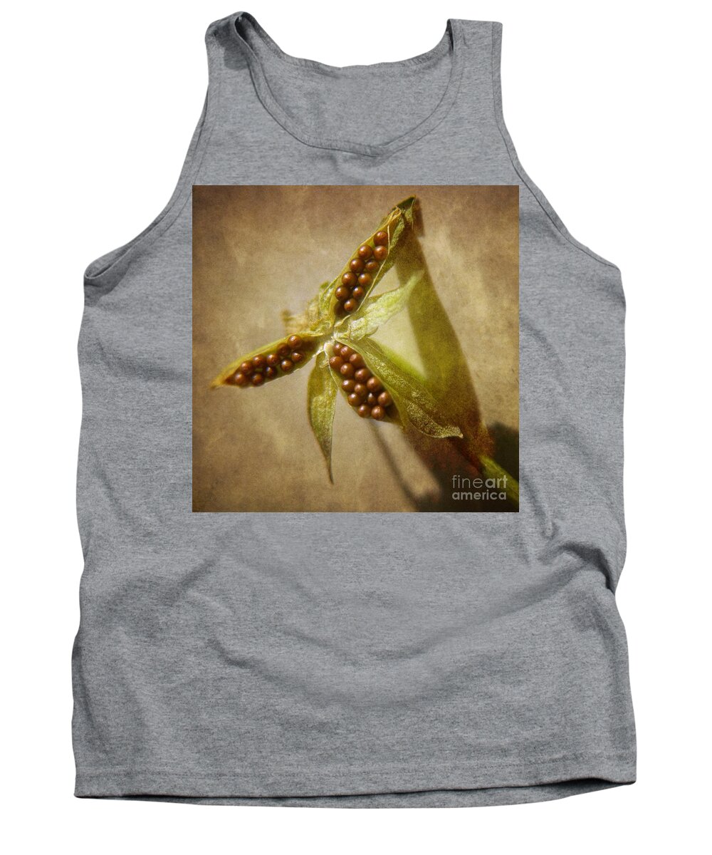 Seed Pod Tank Top featuring the photograph Seeds by Peggy Hughes