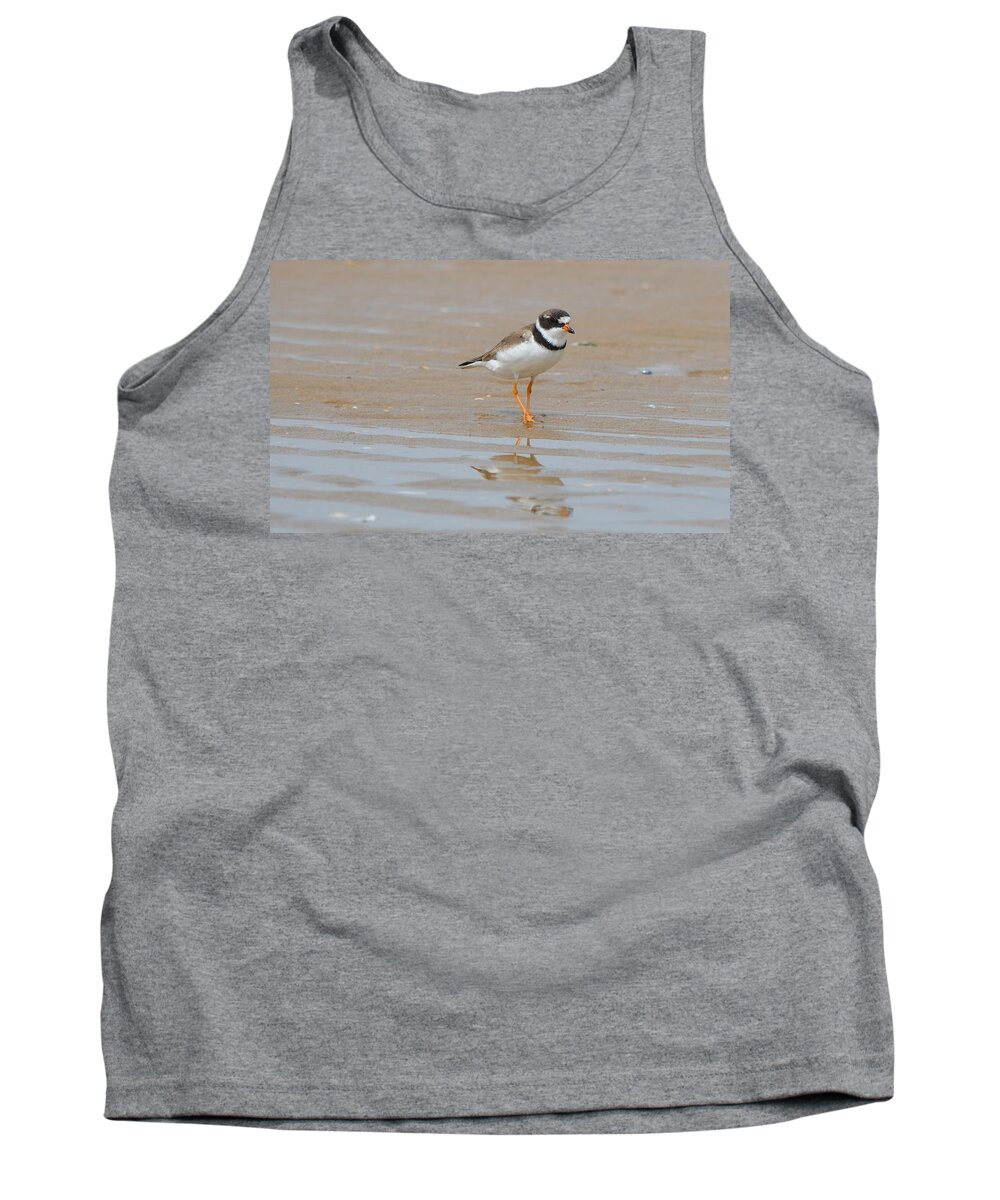 Birds Tank Top featuring the photograph Semipalmated Plover by James Petersen