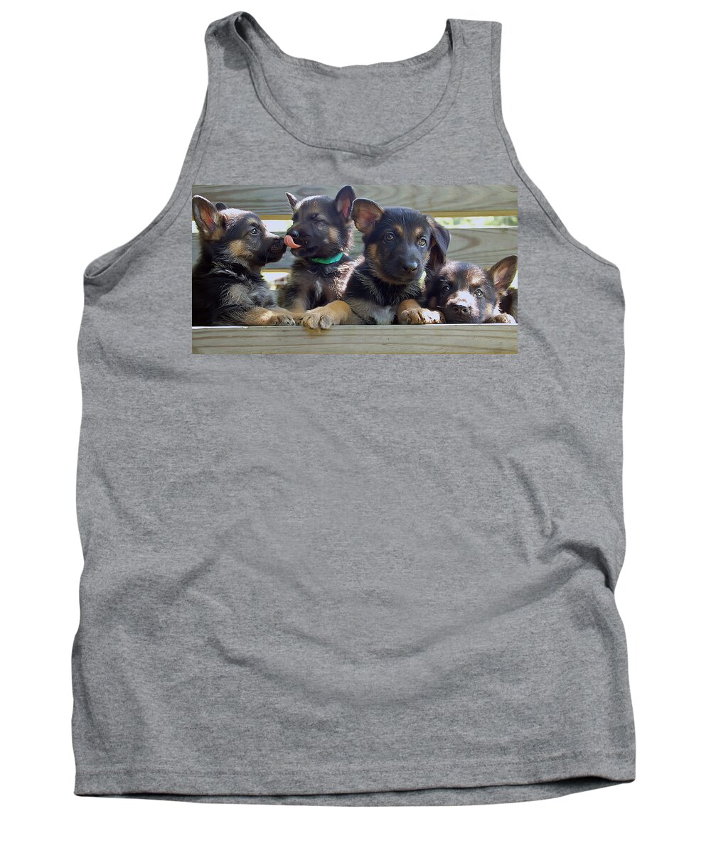 Animal.dog Tank Top featuring the photograph Shepherd Pups 5 by Aimee L Maher ALM GALLERY