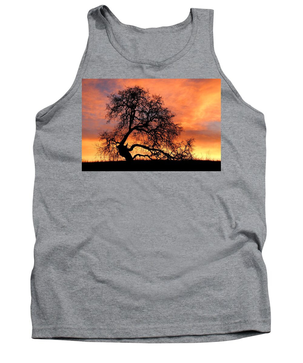 Arastradero Tank Top featuring the photograph Sky On Fire by Priya Ghose