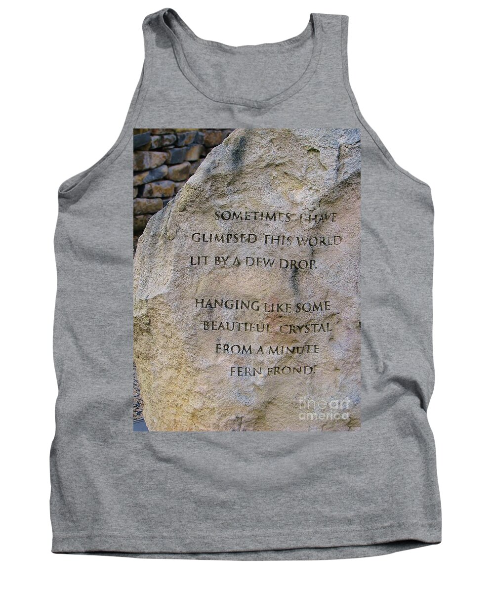 Rock Carving Tank Top featuring the photograph Sometimes . . . by Michele Penner
