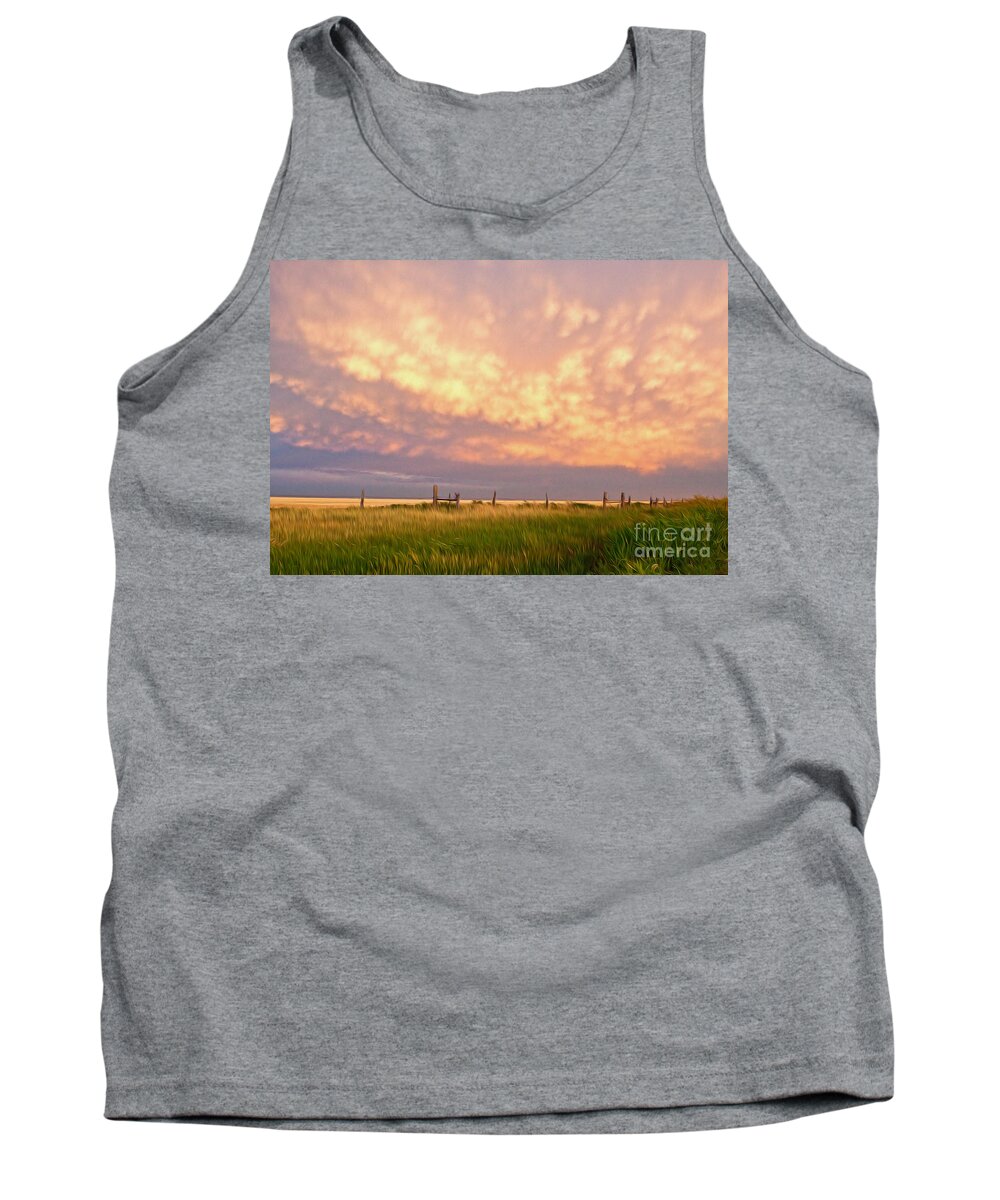 New Mexico Tank Top featuring the photograph Southeastern New Mexico by Roselynne Broussard