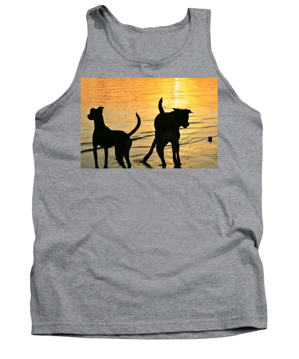 Beach Tank Top featuring the photograph Sunset Dogs by Laura Fasulo
