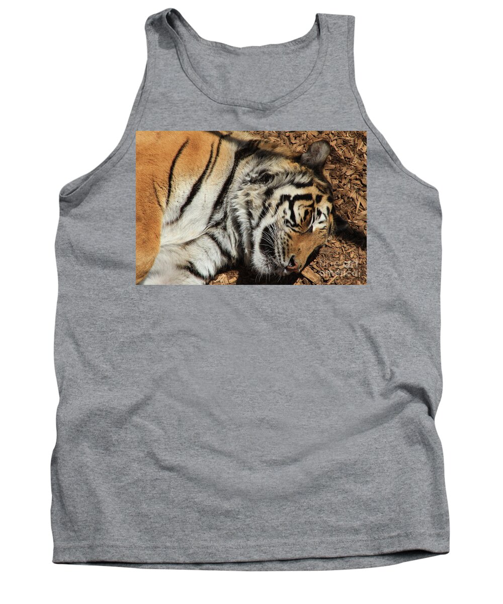 Tiger Tank Top featuring the photograph Sweet Dreams by Fiona Kennard