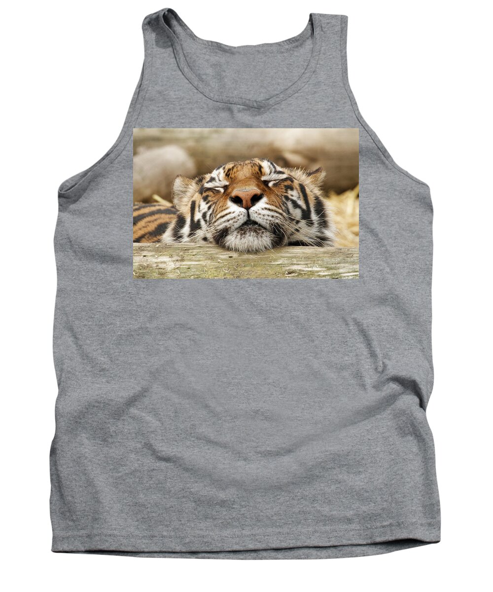 Tiger Tank Top featuring the photograph Sweet Dreams by Steve McKinzie