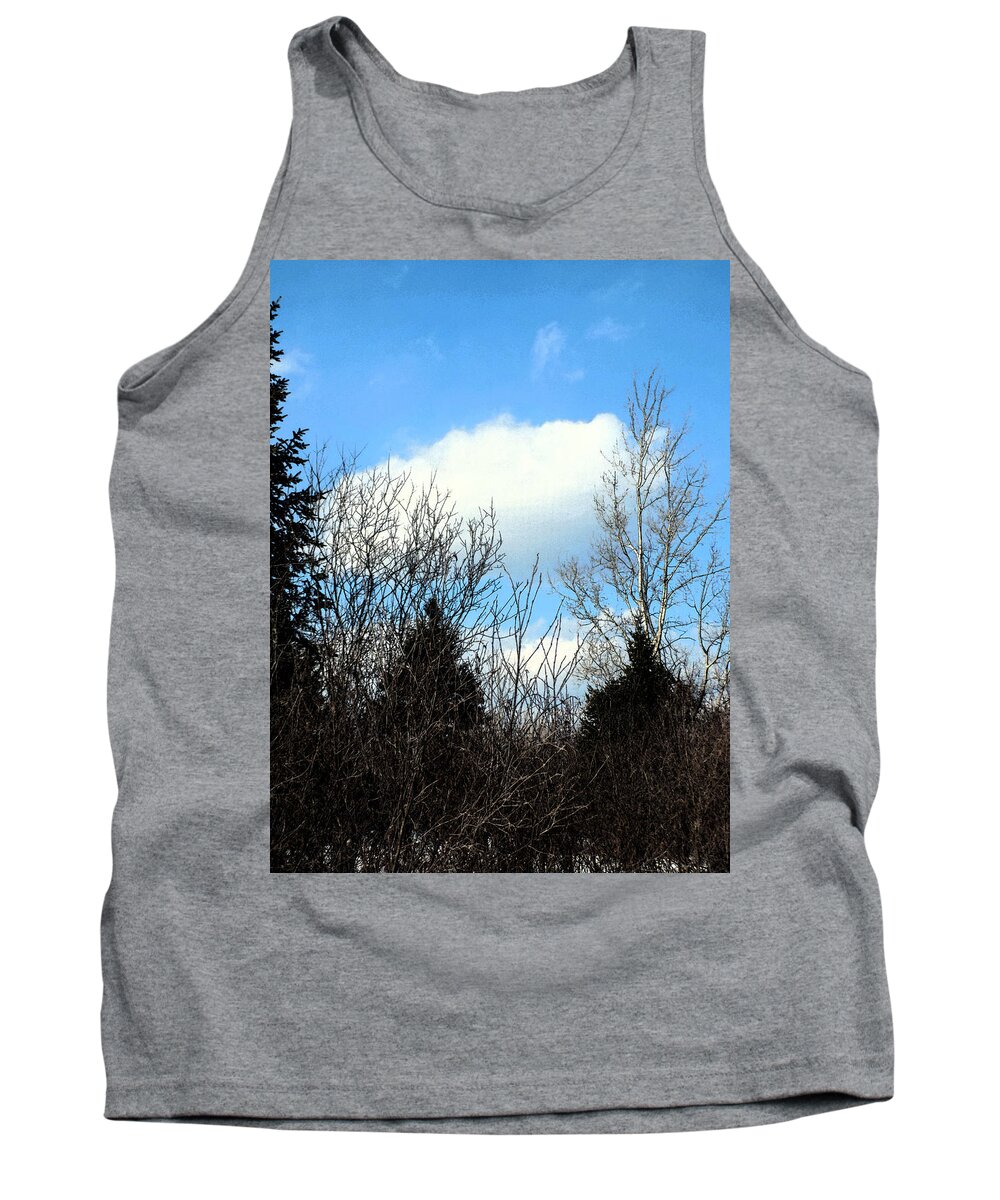 Birch Tank Top featuring the photograph Tall Birch by William Tasker