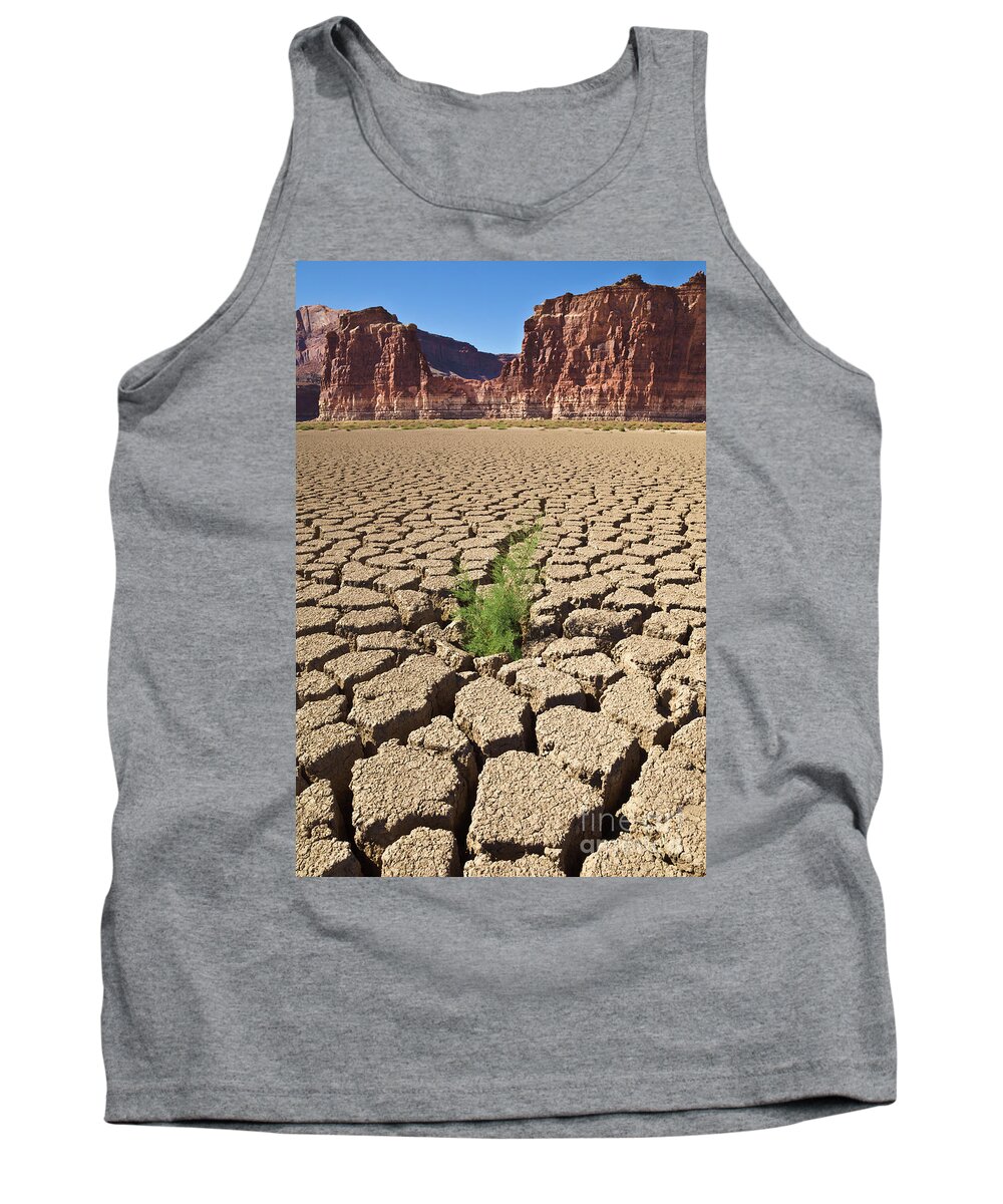 00559227 Tank Top featuring the photograph Tamarisk In Dry Colorado River by Yva Momatiuk John Eastcott