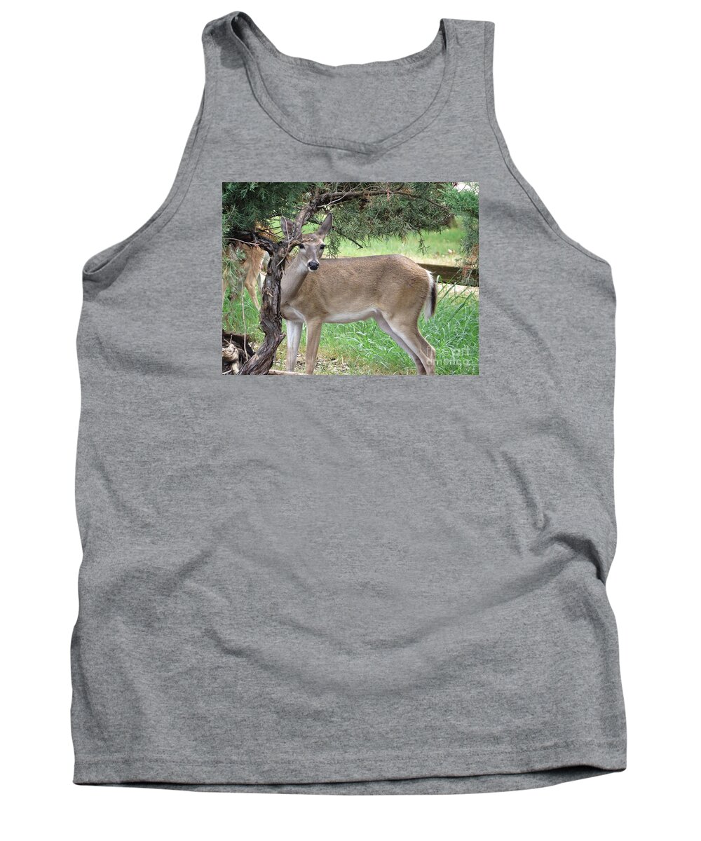 Deer Tank Top featuring the photograph Texas Beauty - White tail Doe by Ella Kaye Dickey