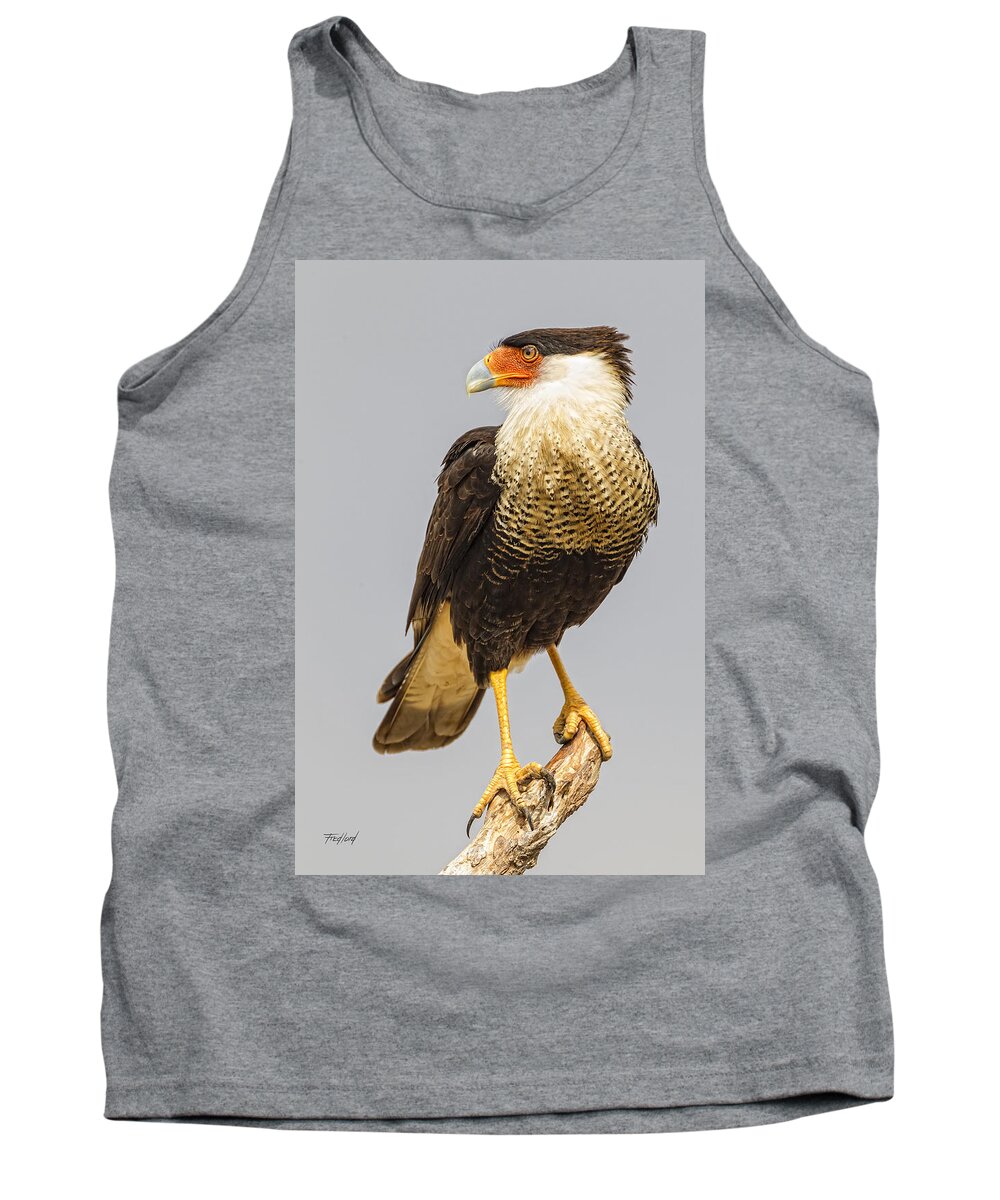 Bird Tank Top featuring the photograph Texas Crested Cara Cara by Fred J Lord