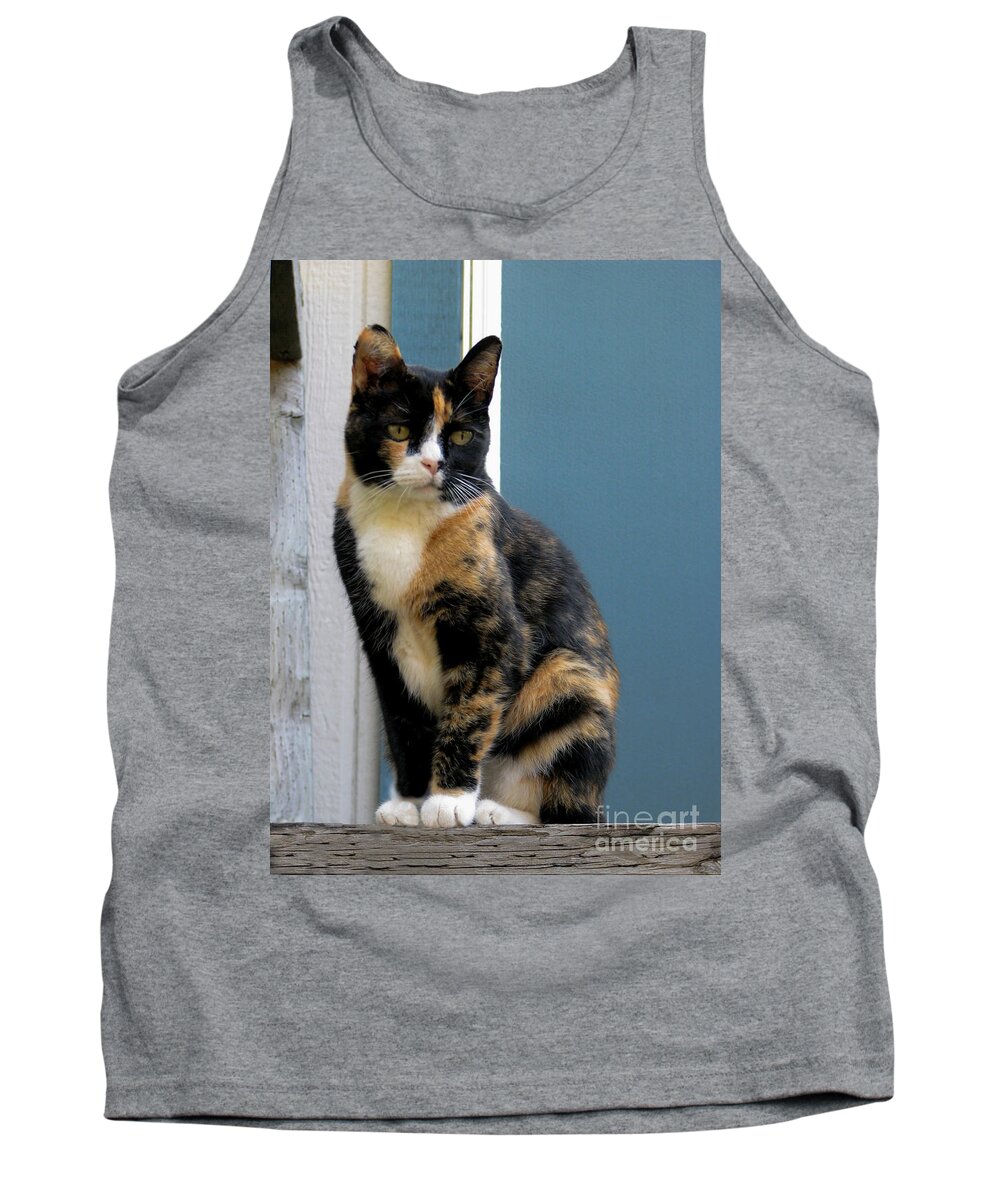 Cat Tank Top featuring the photograph The Art Of Watching by Rory Siegel
