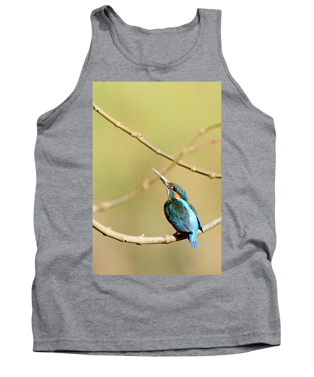 Common Tank Top featuring the photograph The Common Kingfisher by Fotosas Photography