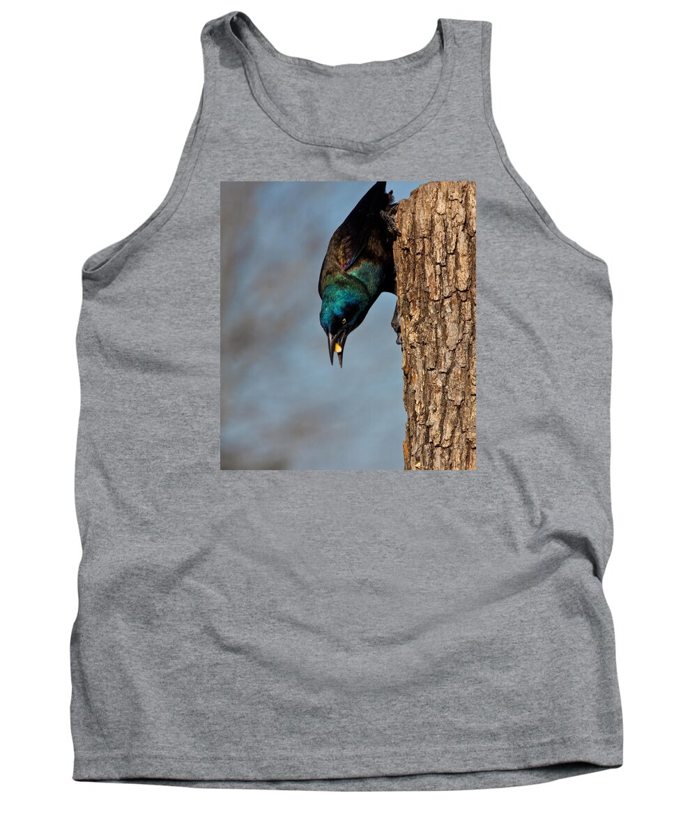 Grackle Tank Top featuring the photograph The Grackle by Mark Alder