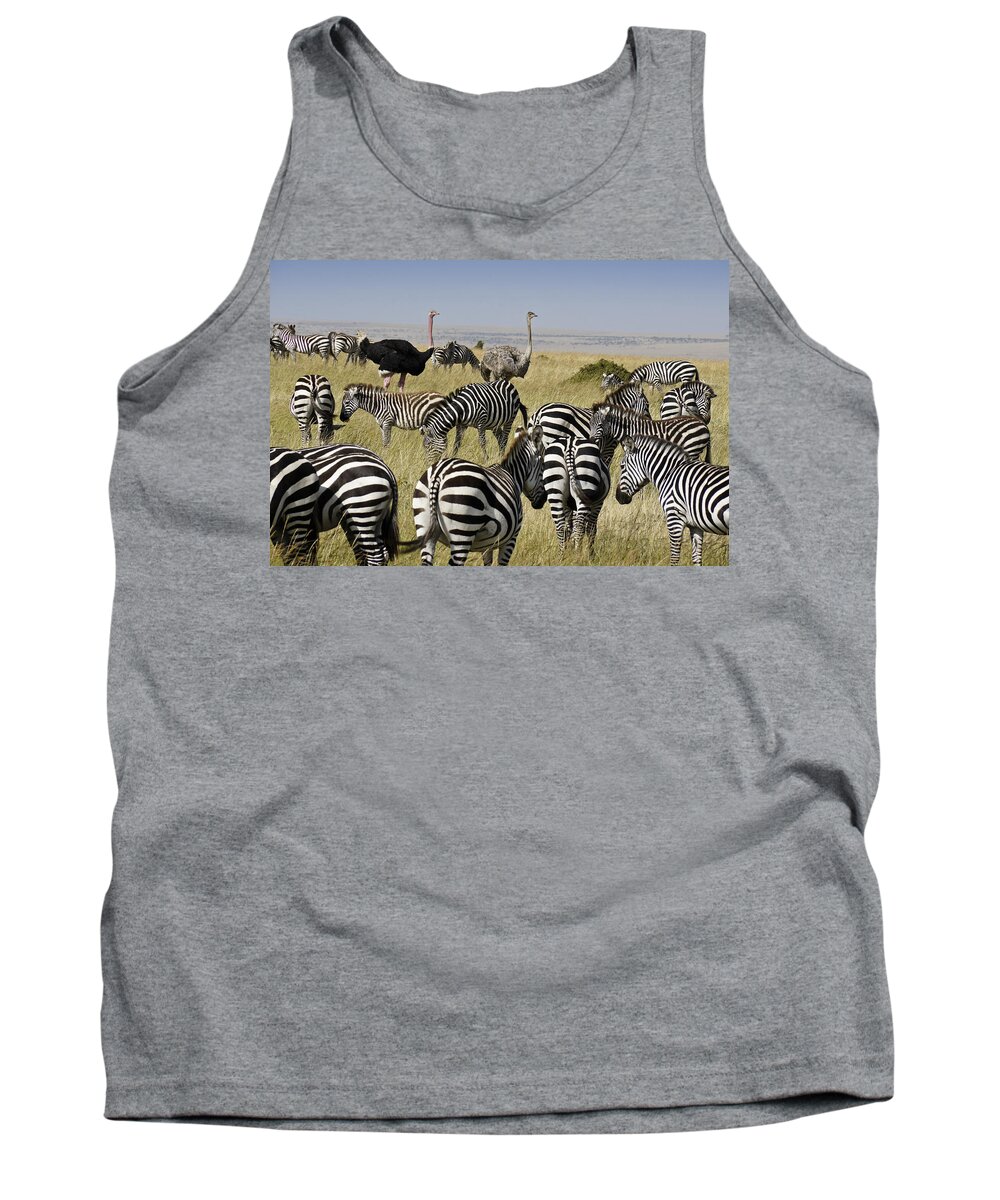 Africa Tank Top featuring the photograph The Odd Couple by Michele Burgess