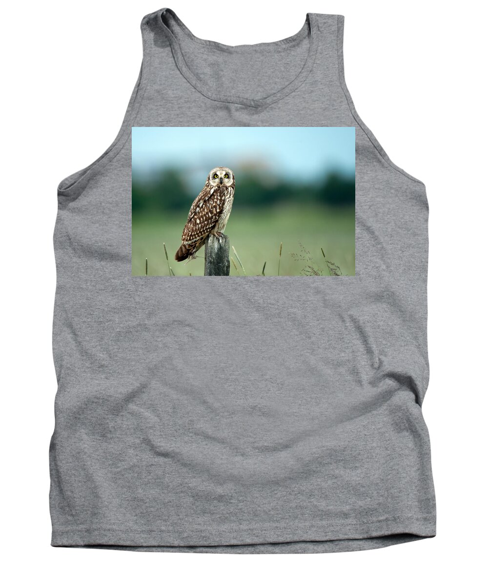 Short Eared Owl Tank Top featuring the photograph The short-eared owl by Torbjorn Swenelius