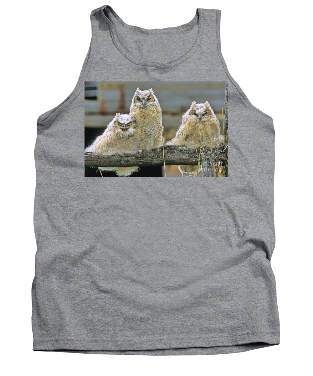Owls Tank Top featuring the photograph Three Great-Horned Owl Chicks by Gary Beeler
