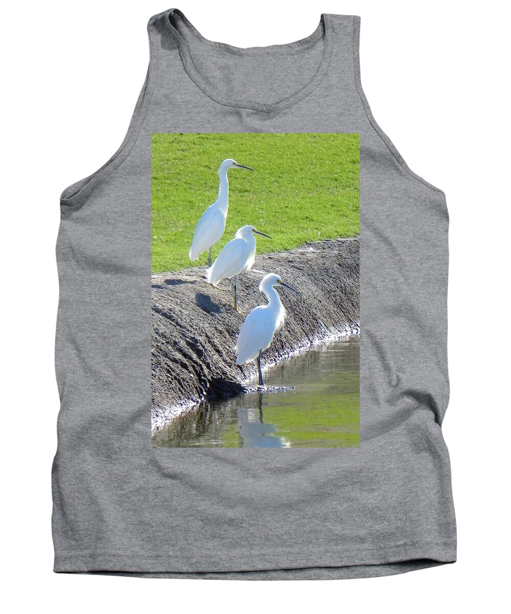 Egret Tank Top featuring the photograph Three Stooges by Deb Halloran