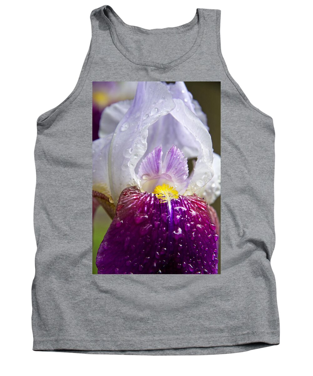 Translucent Tank Top featuring the photograph Translucent by Jemmy Archer