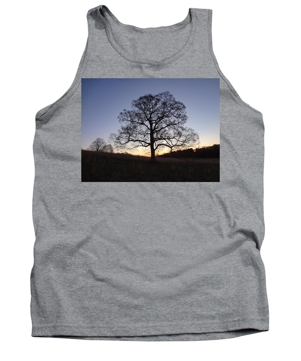 Tree Tank Top featuring the photograph Tree at Dawn by Michael Porchik