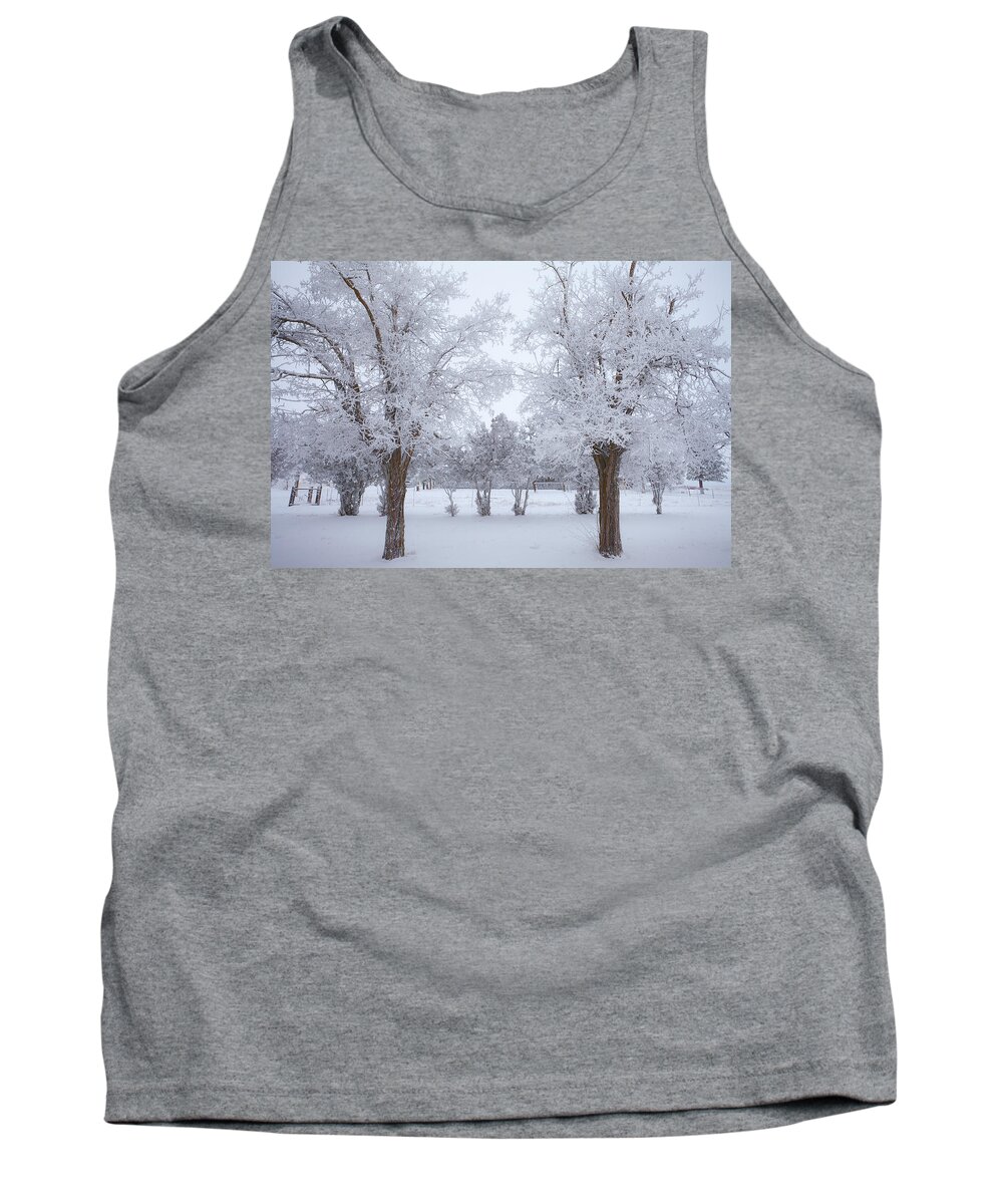  River Tank Top featuring the photograph Trees of Winter by Darren White