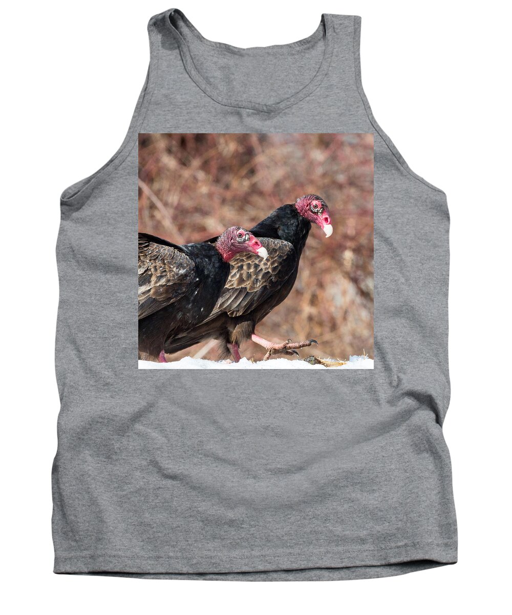 Vulture Tank Top featuring the photograph Turkey Vultures Square by Bill Wakeley