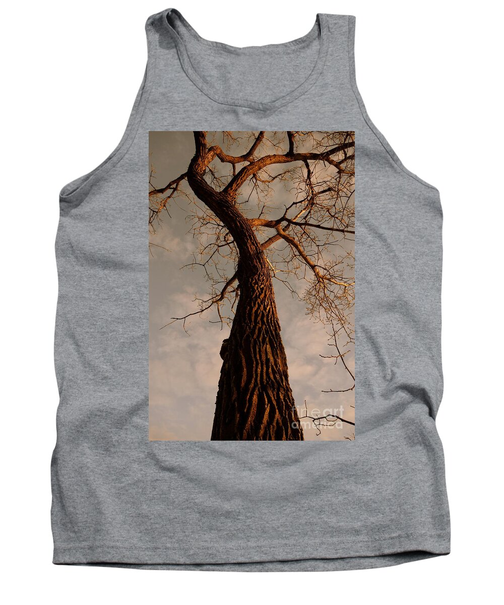 Tree Tank Top featuring the photograph Twist and Turns by Jacqueline Athmann