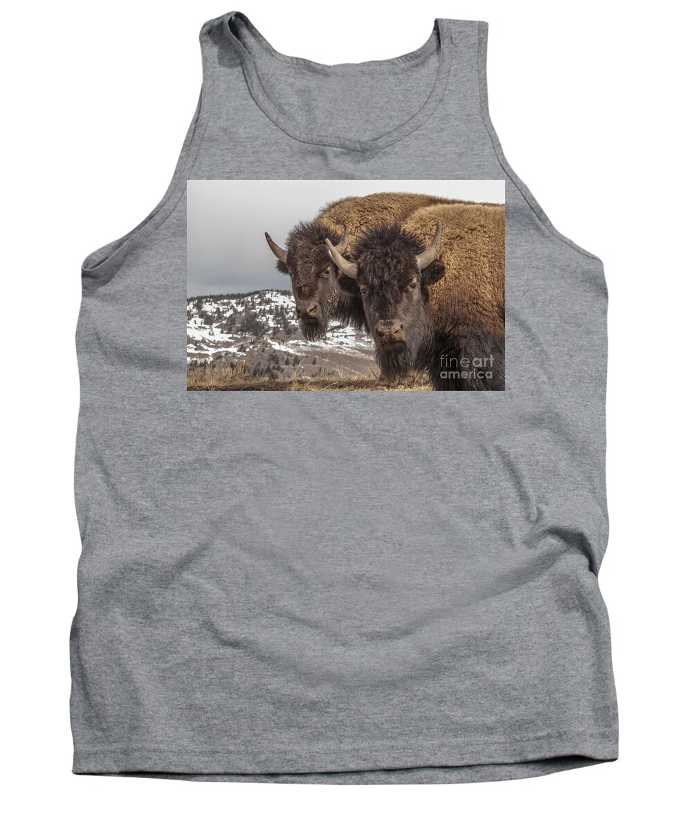 Bison Tank Top featuring the photograph Two Bison by Gary Beeler