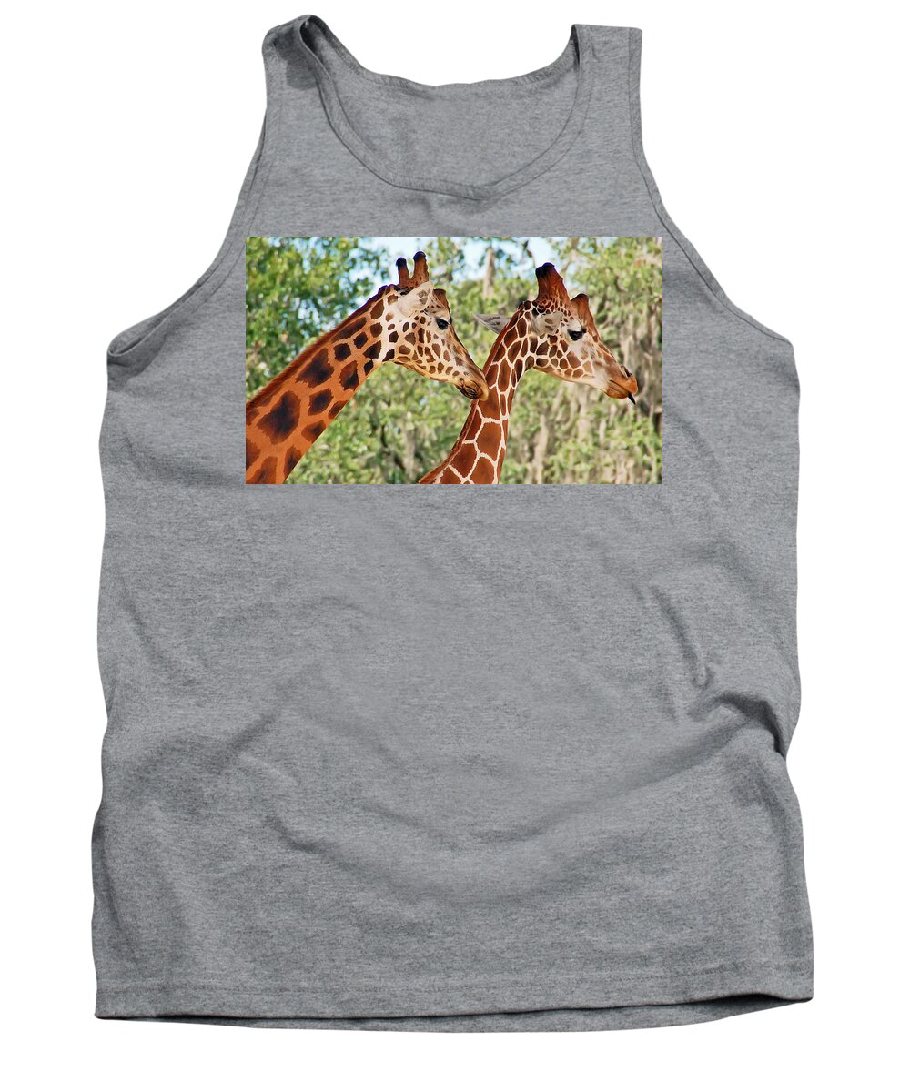 Giraffe Tank Top featuring the photograph Two Giraffes by Aimee L Maher ALM GALLERY