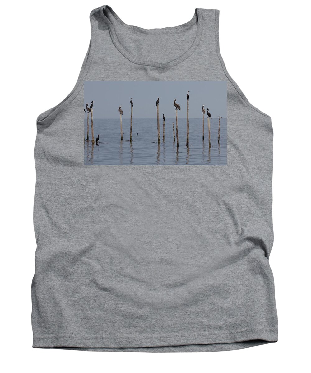 Bay Tank Top featuring the photograph Waiting 1 by Leah Palmer