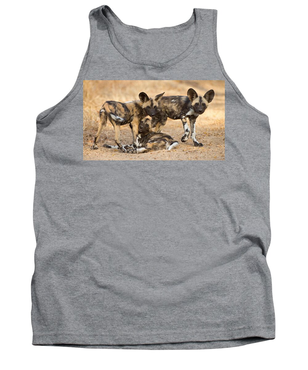 African Wild Dog Tank Top featuring the photograph Wild Dog Pups by Max Waugh