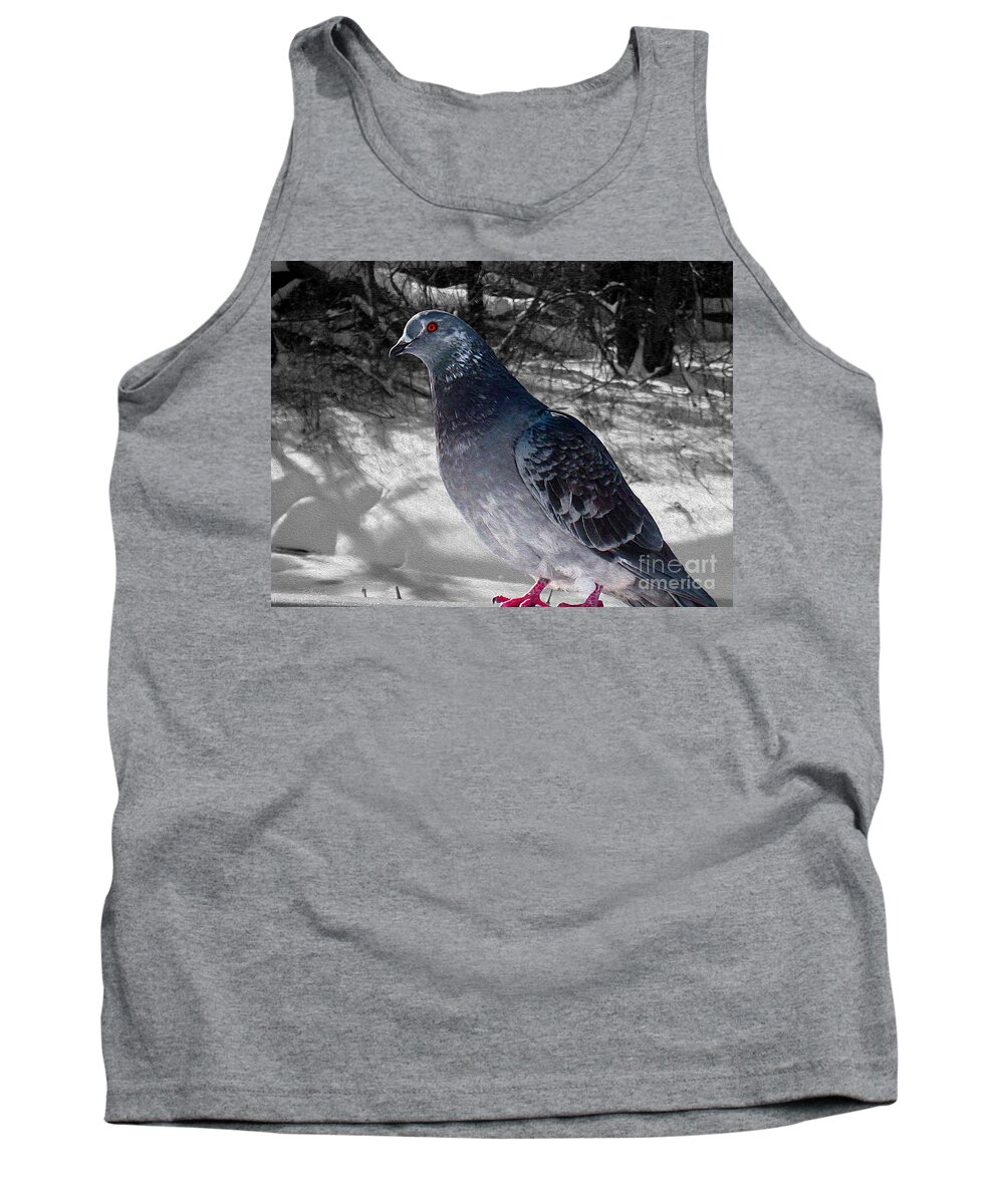 Pigeon Tank Top featuring the photograph Winter Pigeon by Nina Silver