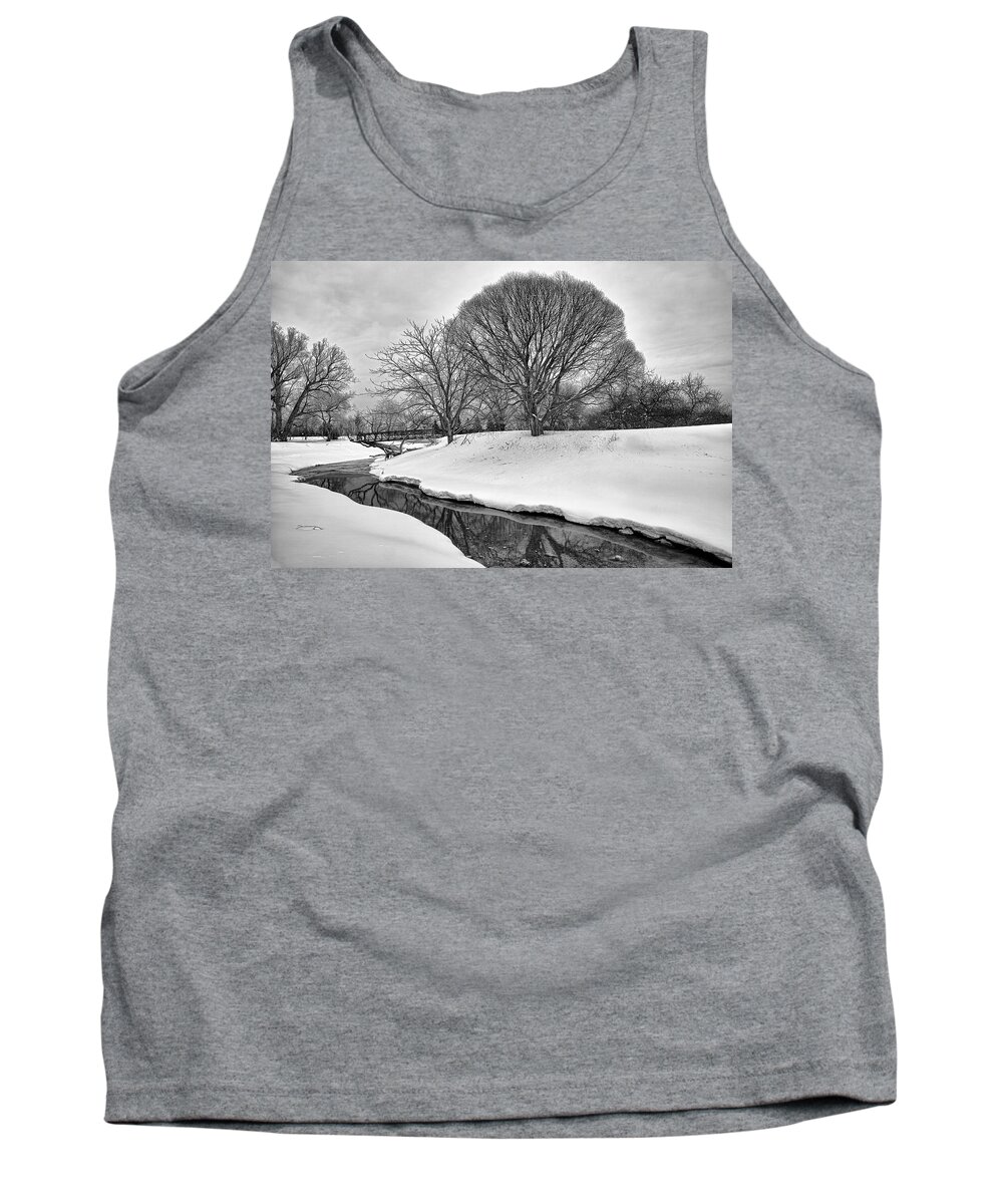Tree Tank Top featuring the photograph Winter Stream by Eunice Gibb